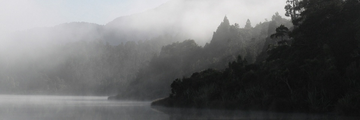 a foggy lake shore and mountains
